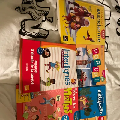 Lot de manuels scolaire français, anglais cm1 et cm2